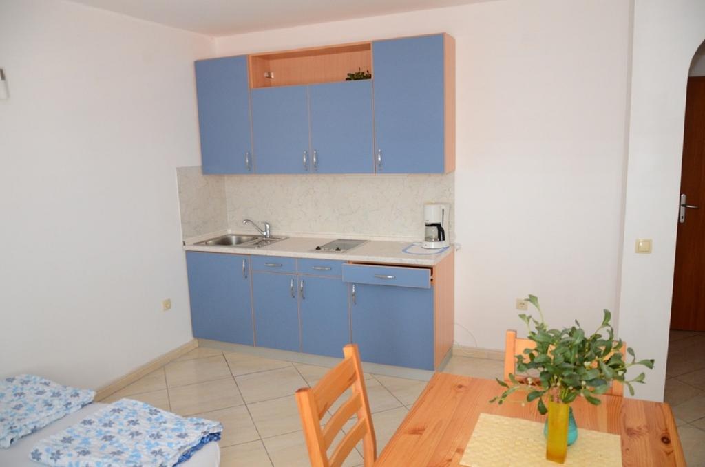 Apartments Bozic 노비비노돌스키 객실 사진